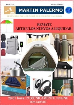 Primer lote del remate de Martin Palermo