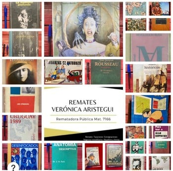 Primer lote del remate de Verónica Aristegui Díaz 