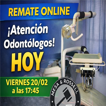 Primer lote del remate de Mesa & Rossell Remates - Remates de calidad 