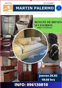 Primer lote del remate de Martin Palermo