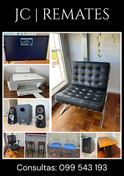 Primer lote del remate de JC Remates