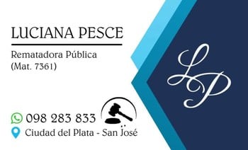 Primer lote del remate de Luciana Pesce