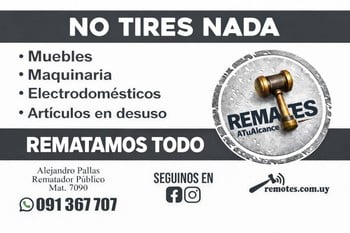 Primer lote del remate de Remates ATuAlcance